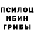 Галлюциногенные грибы GOLDEN TEACHER Mega dugan