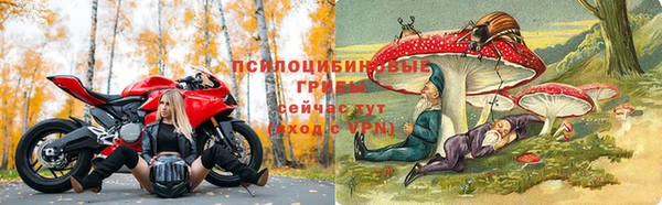 мяу мяу мука Алзамай